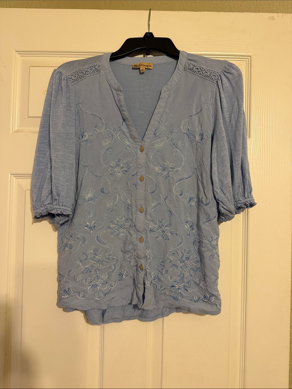 Democracy Light Blue Embroidered Button-Front Blouse